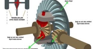 Diferansiyel Nedir? Detaylı Bir İnceleme