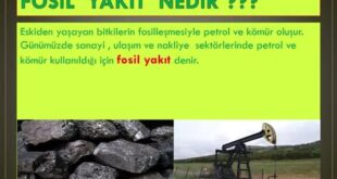 Fosil Yakıtlar Nelerdir? Detaylı Bir İnceleme