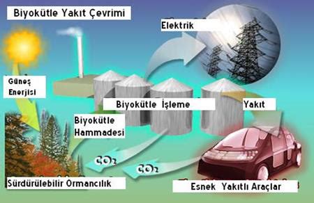 Biokütle yakıtlarının farklı kullanım alanları