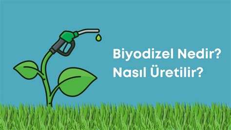 Biyodizel Nedir ve Nasıl Üretilir?