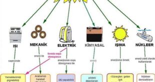 Yenilenebilir Enerji Kaynaklarından Elde Edilen Yakıt Türleri