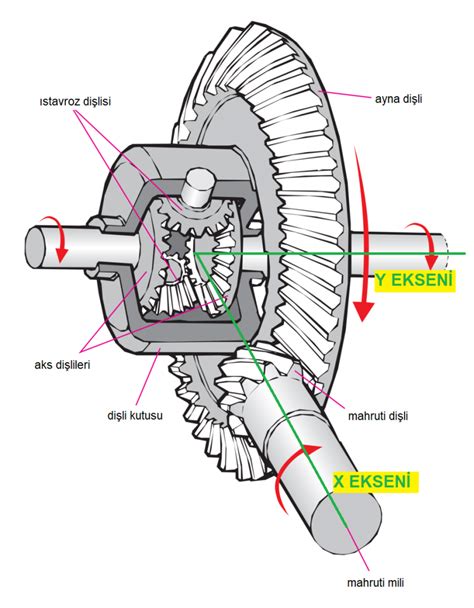 diferansiyel bakımı