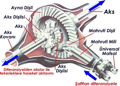 diferansiyel dişlileri