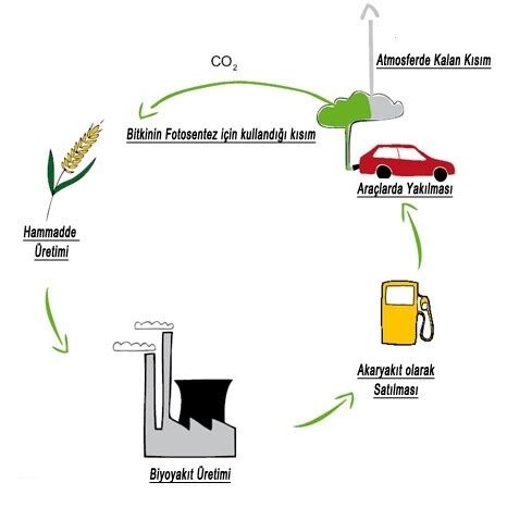 yenilenebilir enerji yakıtları